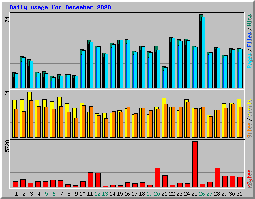 Daily usage for December 2020