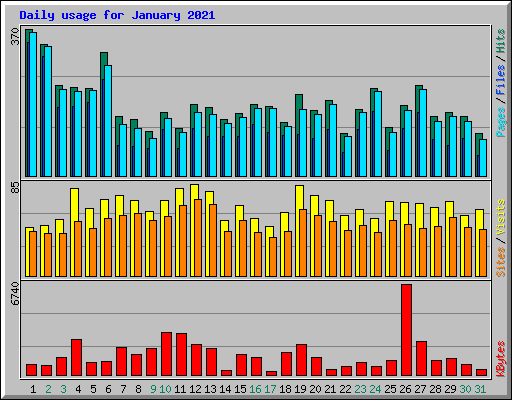 Daily usage for January 2021