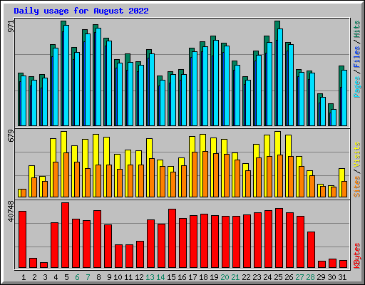 Daily usage for August 2022