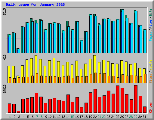 Daily usage for January 2023