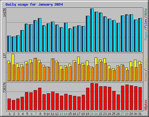 Daily usage for January 2024