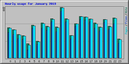 Hourly usage for January 2019