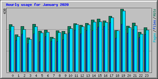 Hourly usage for January 2020