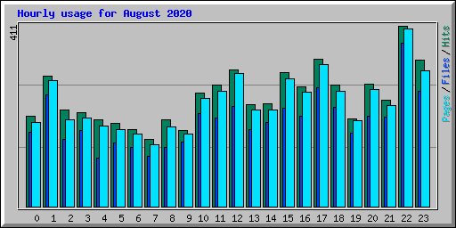 Hourly usage for August 2020