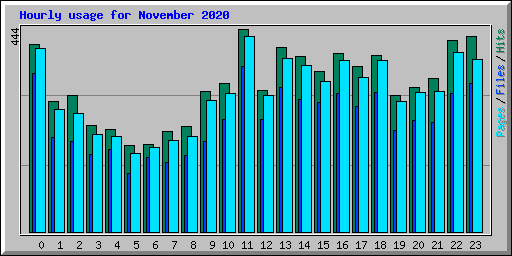 Hourly usage for November 2020