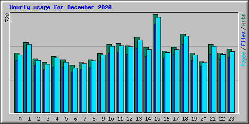 Hourly usage for December 2020