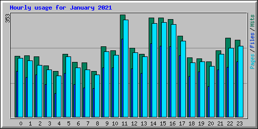 Hourly usage for January 2021