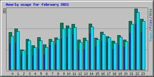 Hourly usage for February 2021