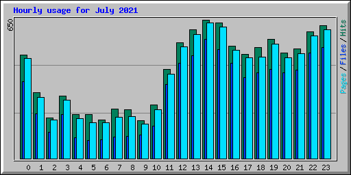 Hourly usage for July 2021