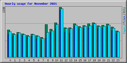 Hourly usage for November 2021