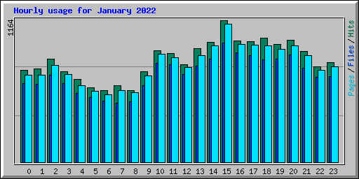 Hourly usage for January 2022