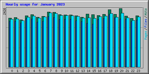 Hourly usage for January 2023