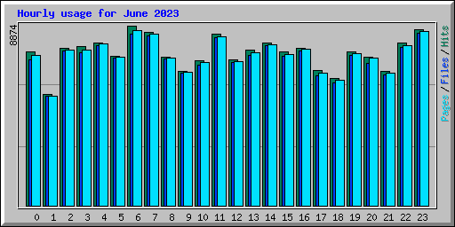 Hourly usage for June 2023