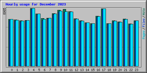 Hourly usage for December 2023