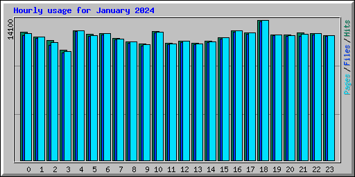 Hourly usage for January 2024