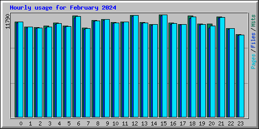 Hourly usage for February 2024