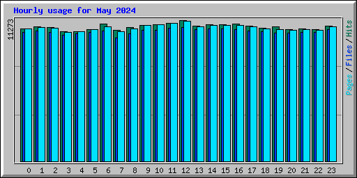 Hourly usage for May 2024