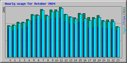 Hourly usage for October 2024