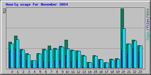 Hourly usage for November 2024