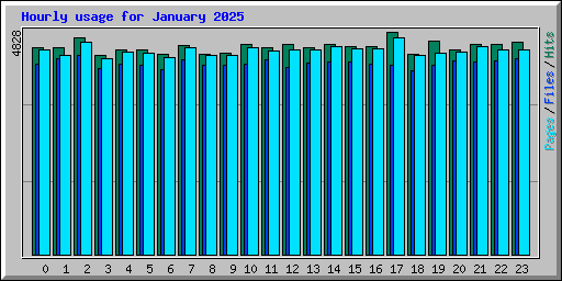 Hourly usage for January 2025