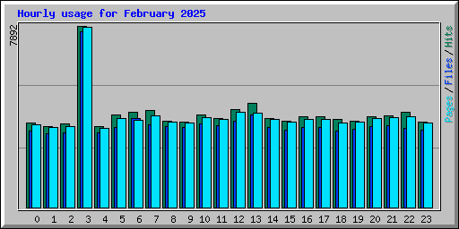 Hourly usage for February 2025