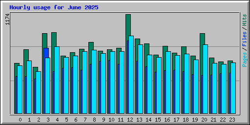 Hourly usage for June 2025