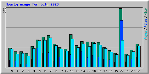 Hourly usage for July 2025