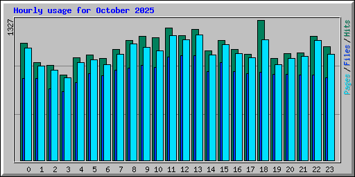 Hourly usage for October 2025