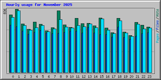 Hourly usage for November 2025