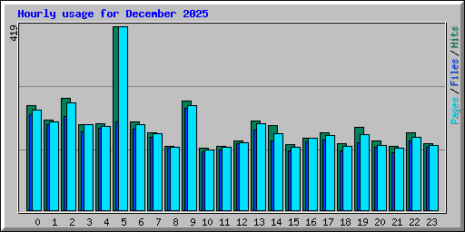 Hourly usage for December 2025