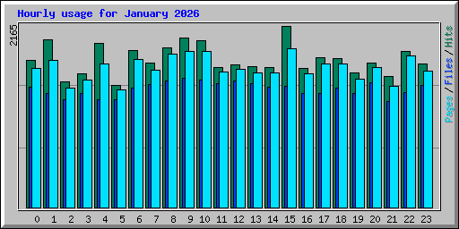 Hourly usage for January 2026