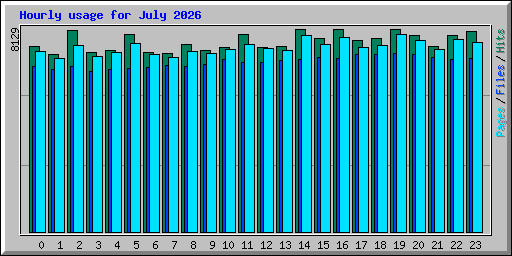 Hourly usage for July 2026