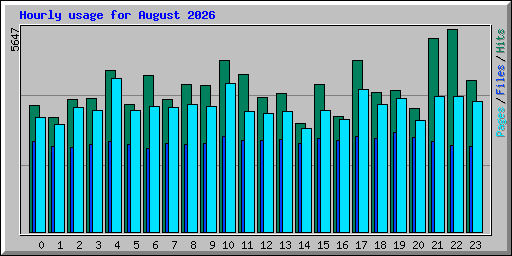 Hourly usage for August 2026